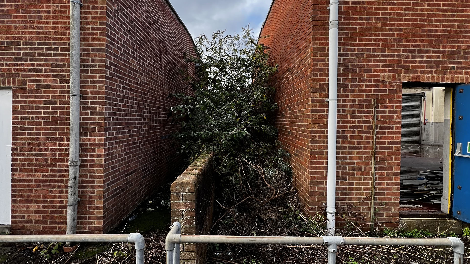Who Should You Contact First — The Council, a Surveyor, or Your Neighbour Bishops Stortford?